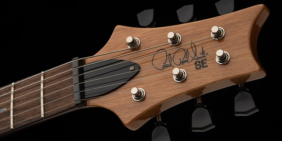 PRS SE "Paul's Guitar" Chitarra elettrica (Turquoise)
