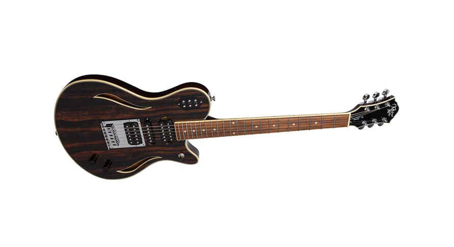 Michael Kelly Custom Collection Special chitarra elettrica, Striped Ebony