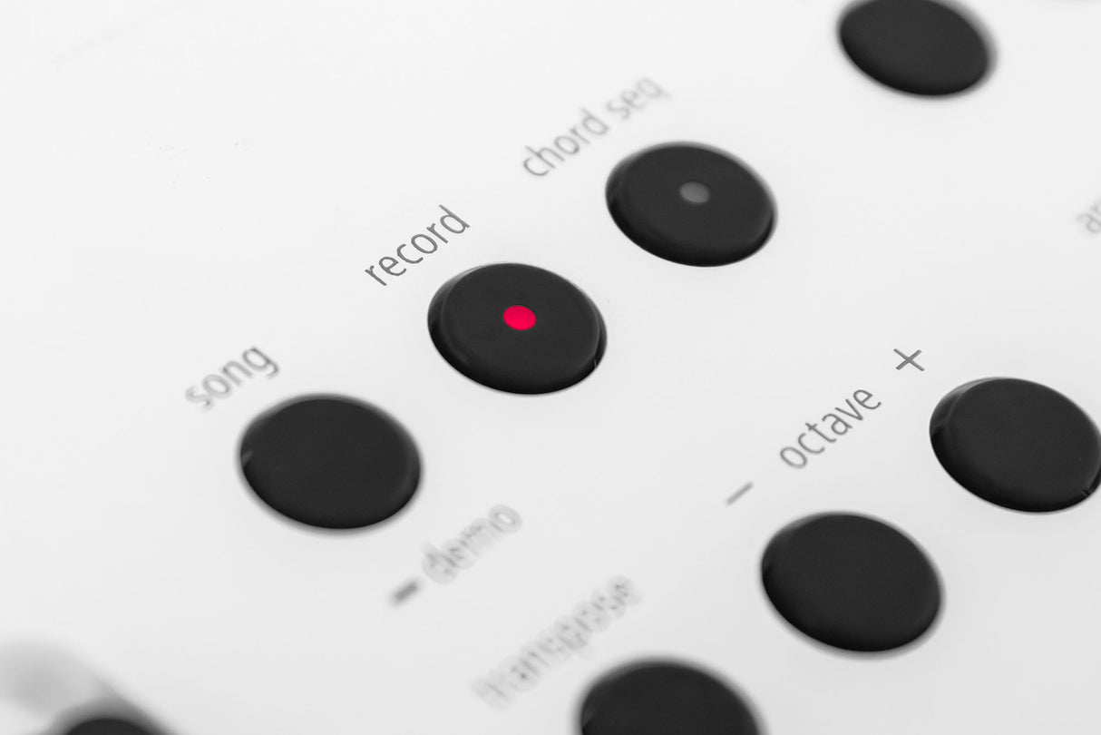 Roland GO:KEYS 5 Keyboard (White)