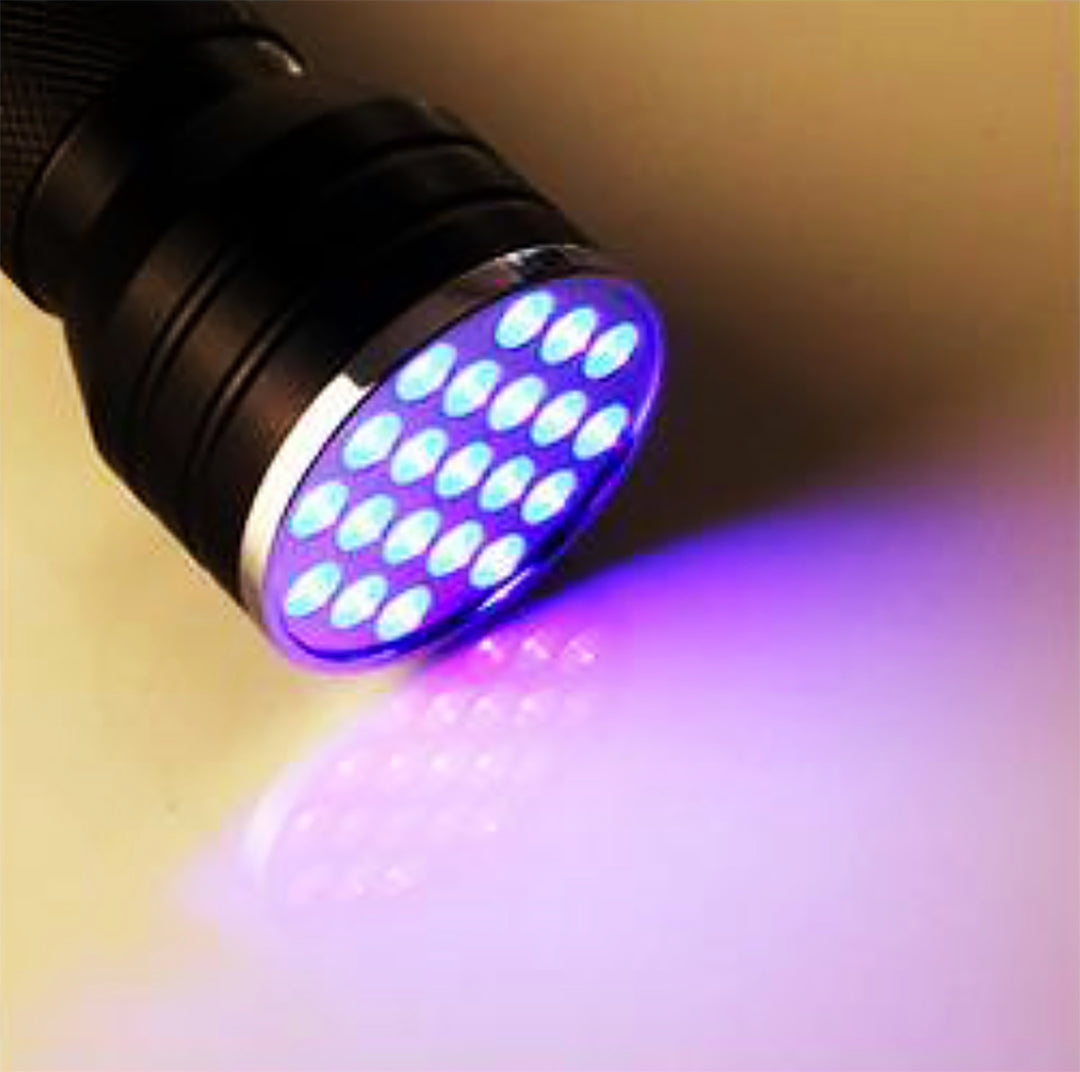 UV Torcia con 21 LED Diodi