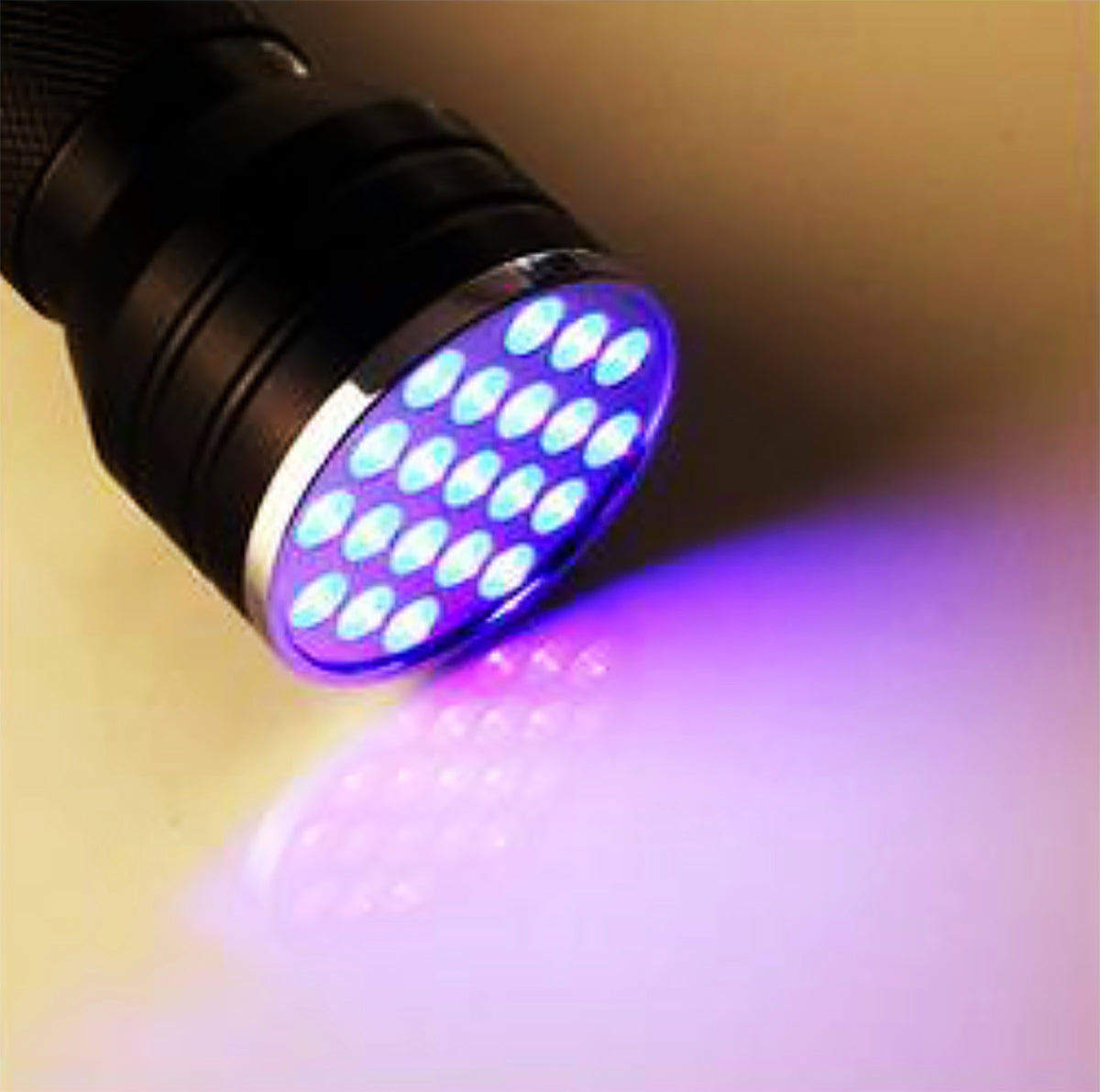 UV Flashlight with 21 LED diodes