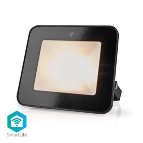SmartLife Proiettore Bianco & RGB (20W)