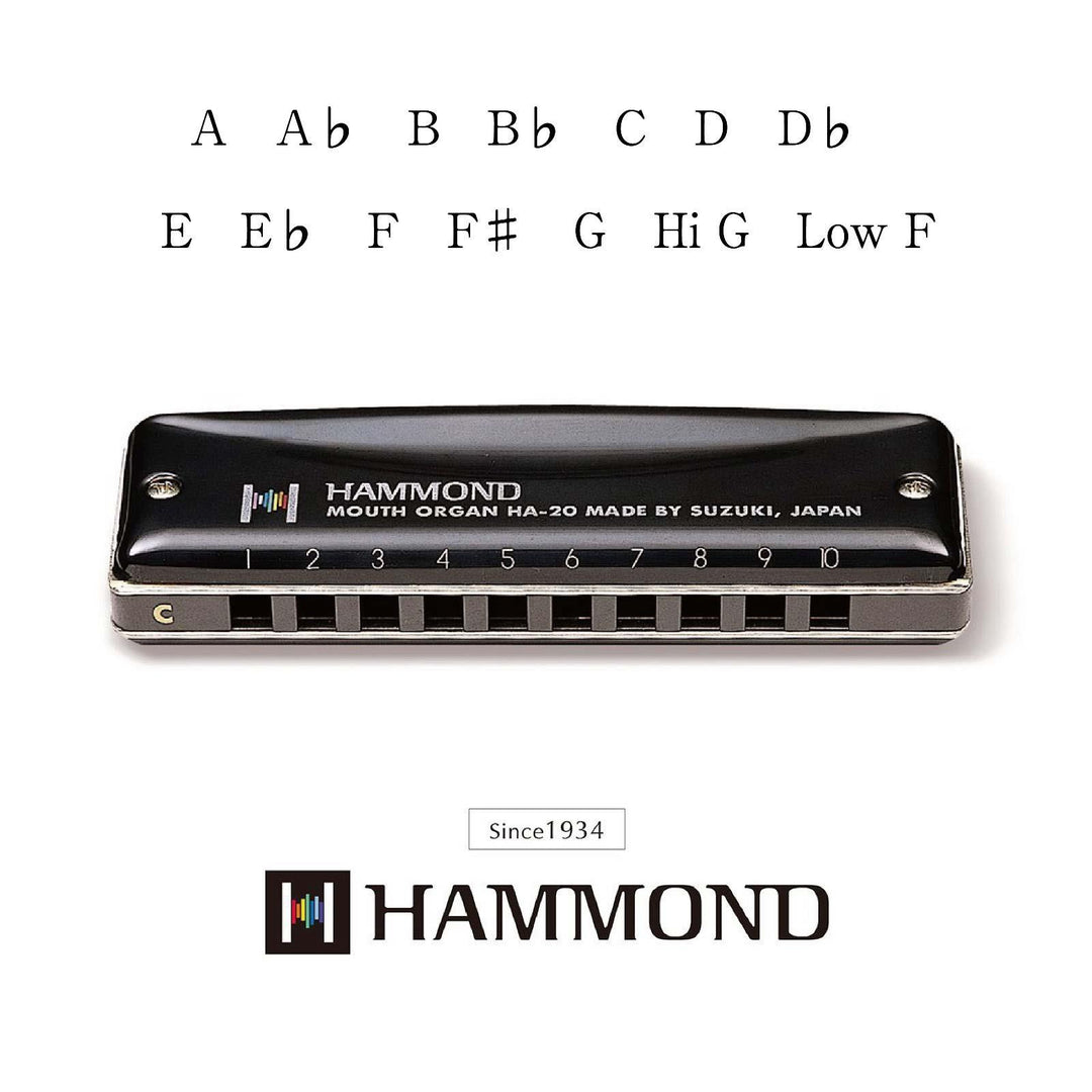 Hammond HA-20 Armoniche (C)