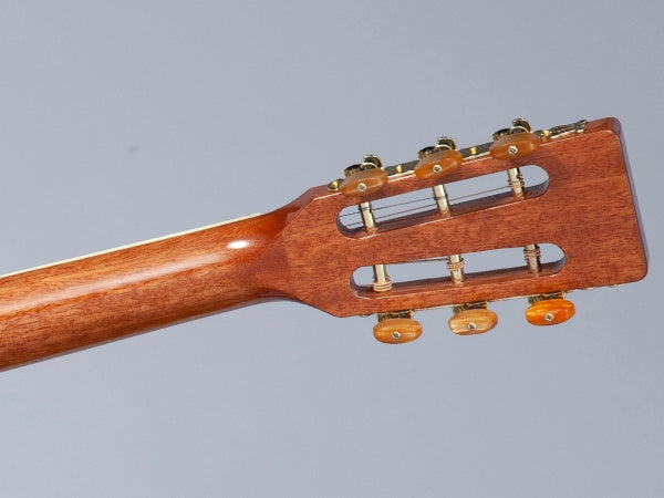 Takamine GY51E-BSB Western Guitar (Brown Sunburst)