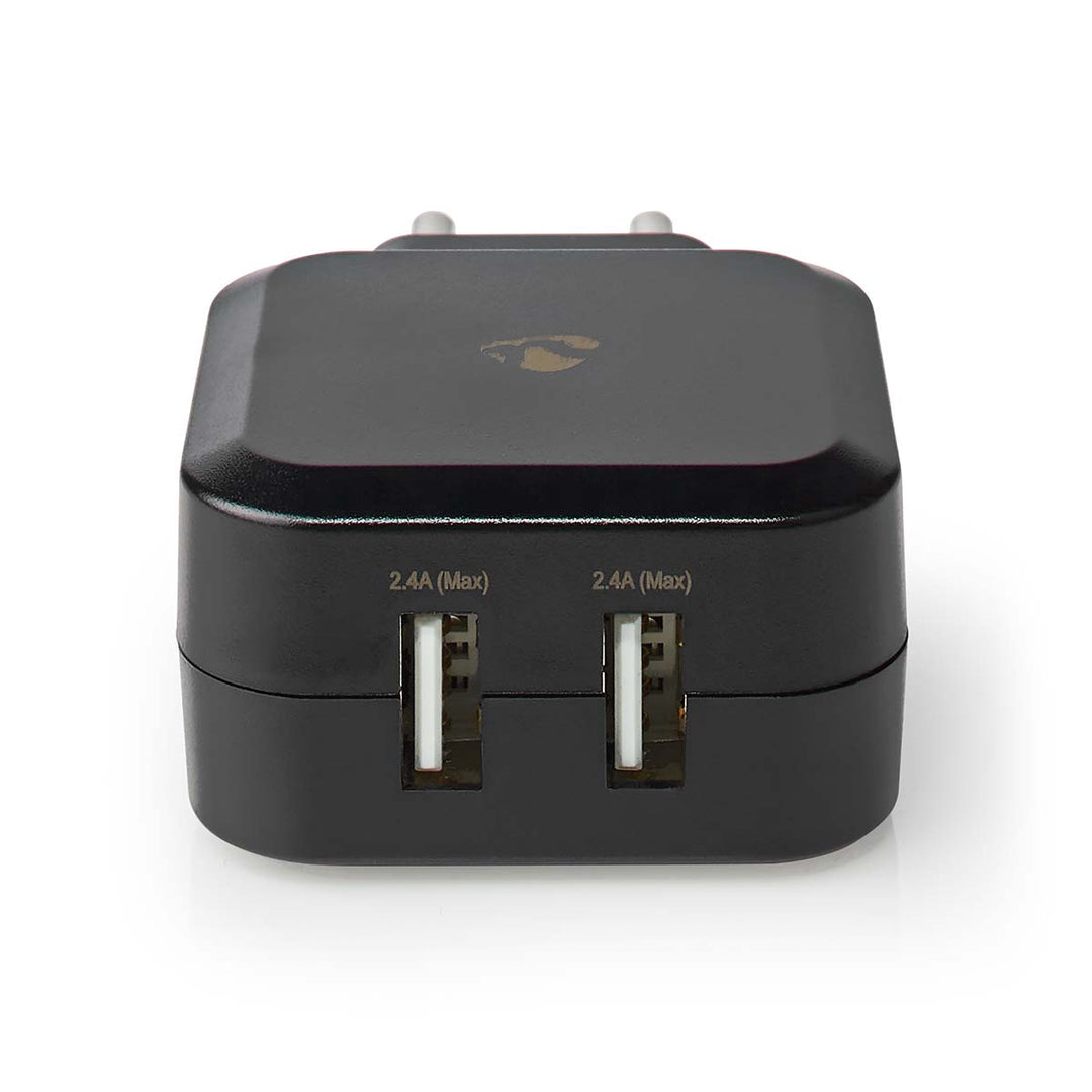 Caricatore USB (2x 2,4A)