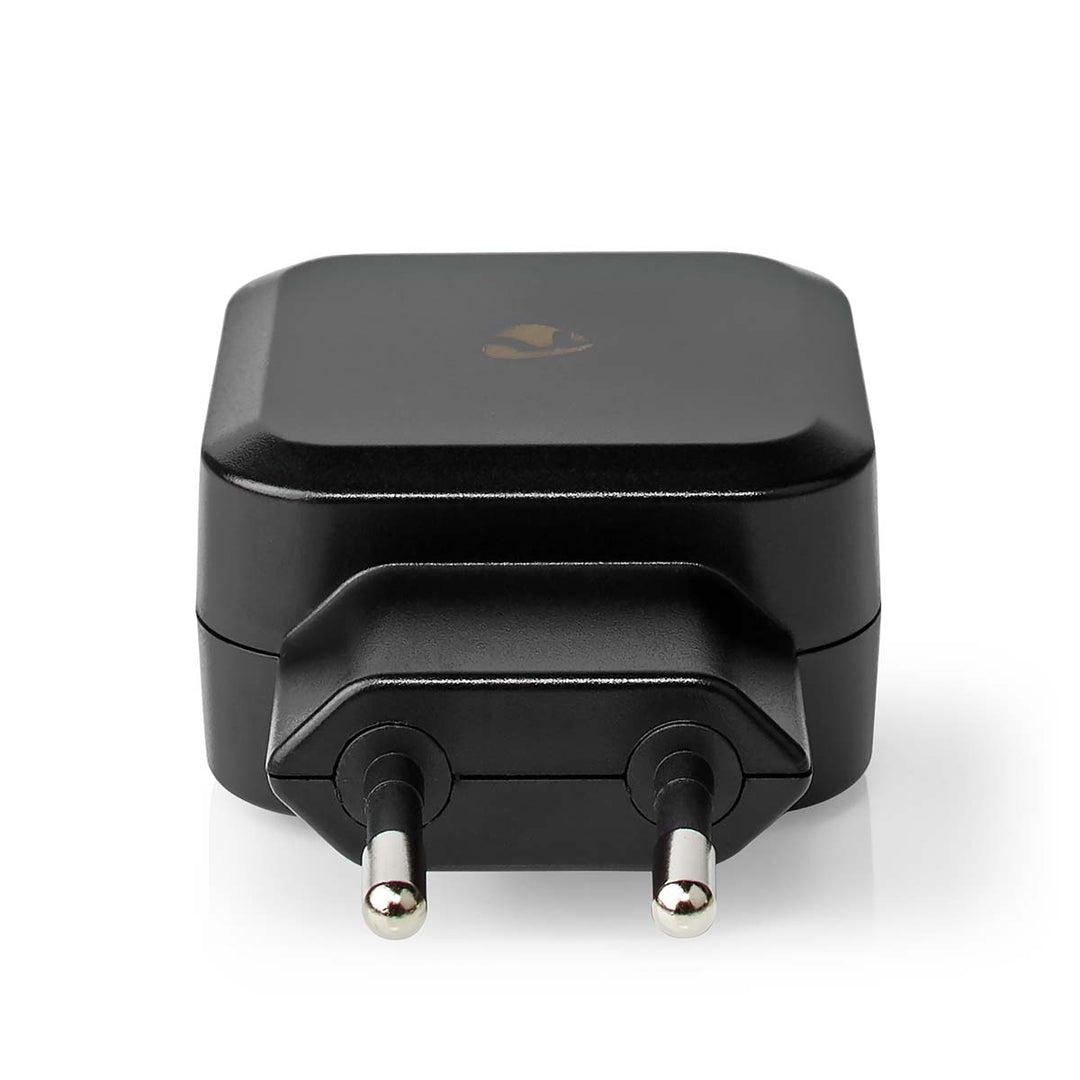 Caricatore USB (2x 2,4A)