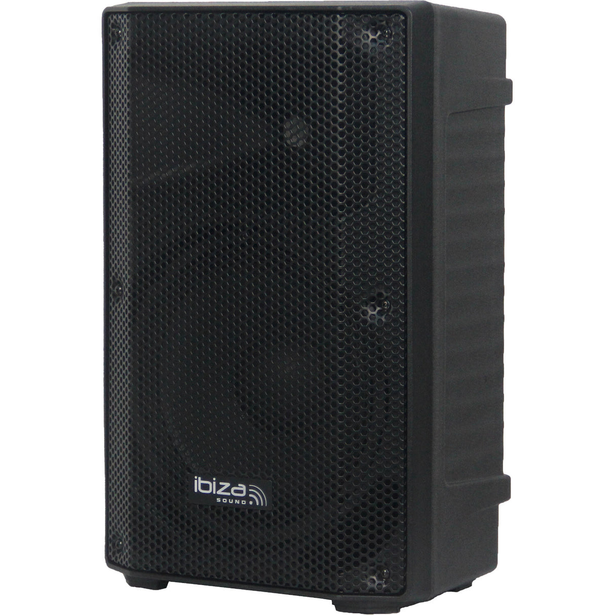 Ibiza XTK 10" Passive PA Speaker
