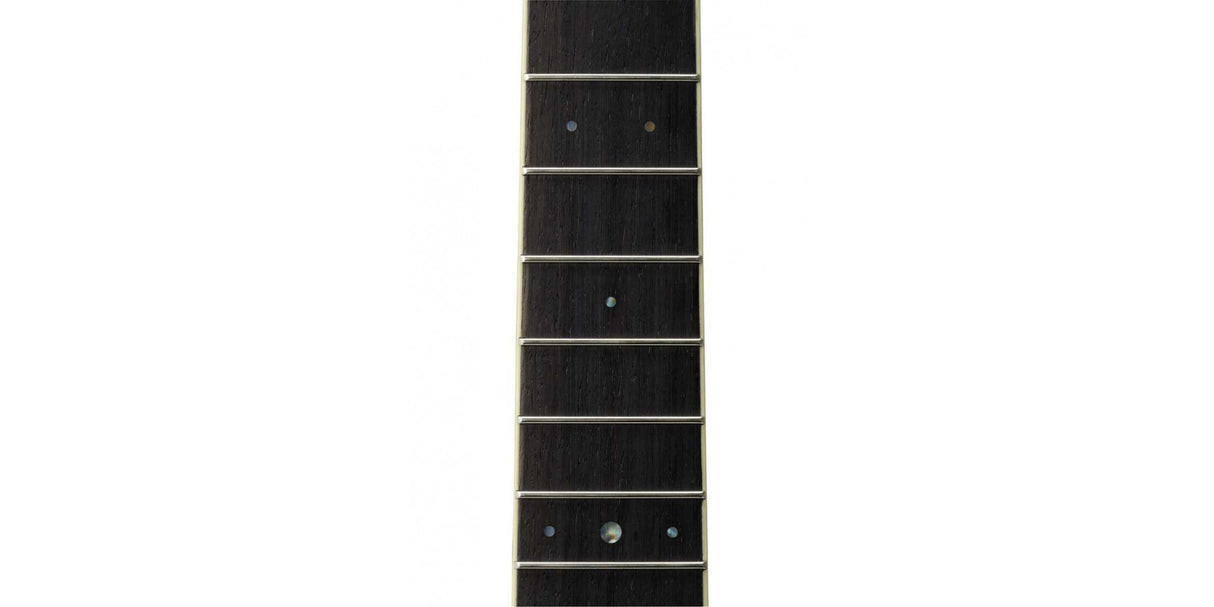 Yamaha LS6 A.R.E. Chitarra Western (Brown Sunburst)