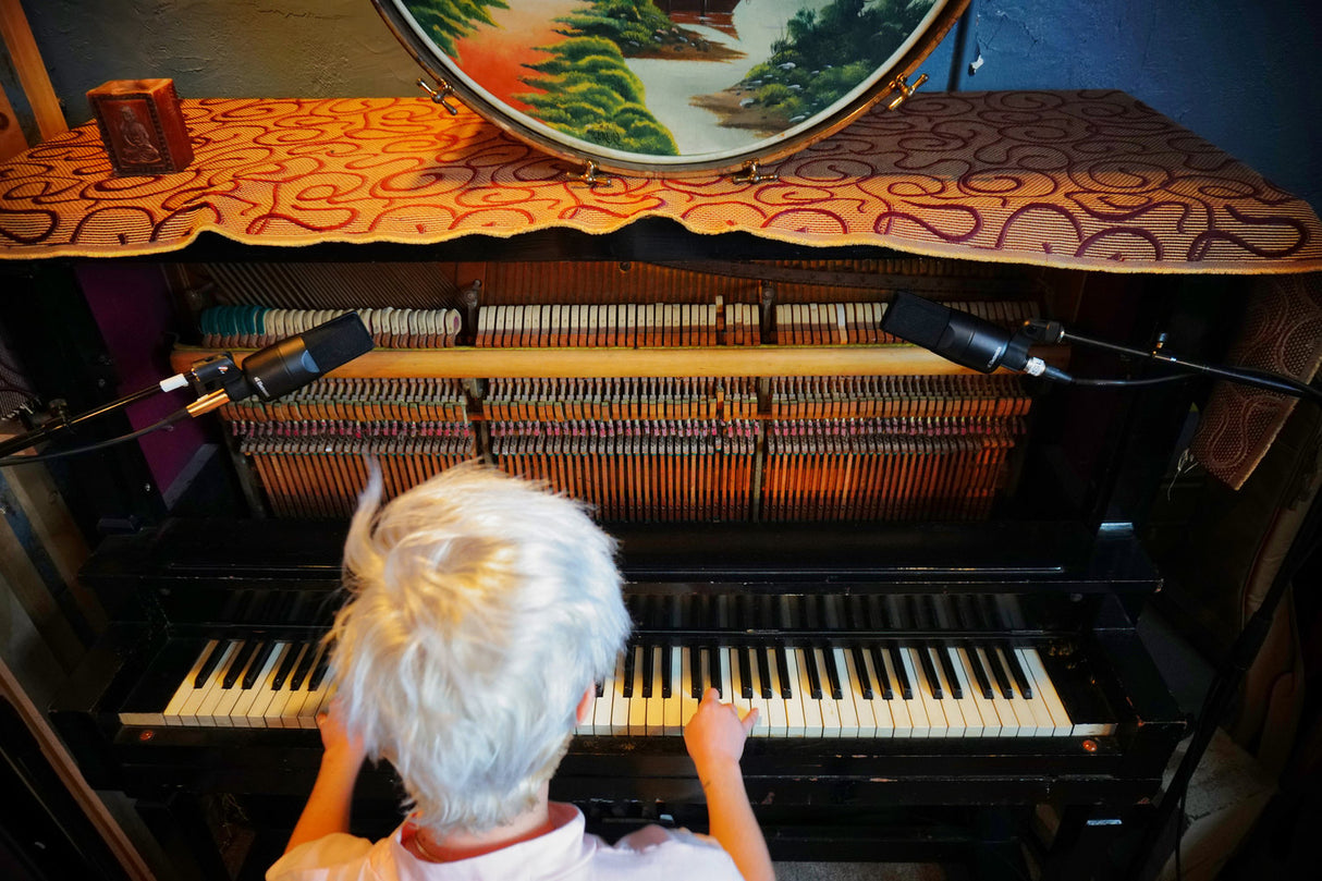 sE Electronics Microfono a Condensatore Studio X1S