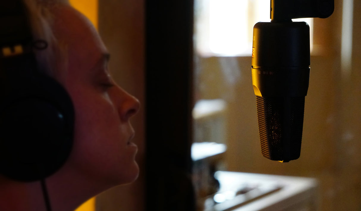 sE Electronics Microfono a Condensatore Studio X1S