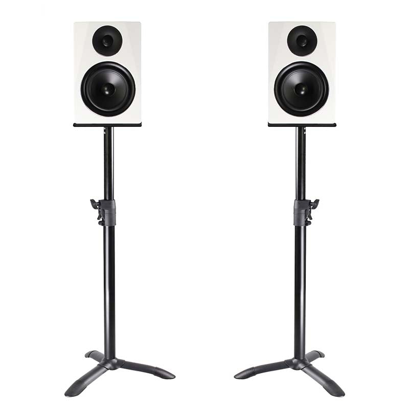 Set di monitor da studio con 2 supporti (20kg)