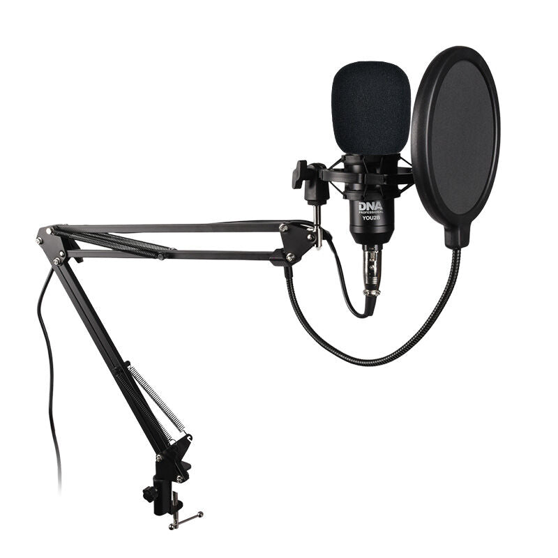 Set di microfoni per podcast e gaming