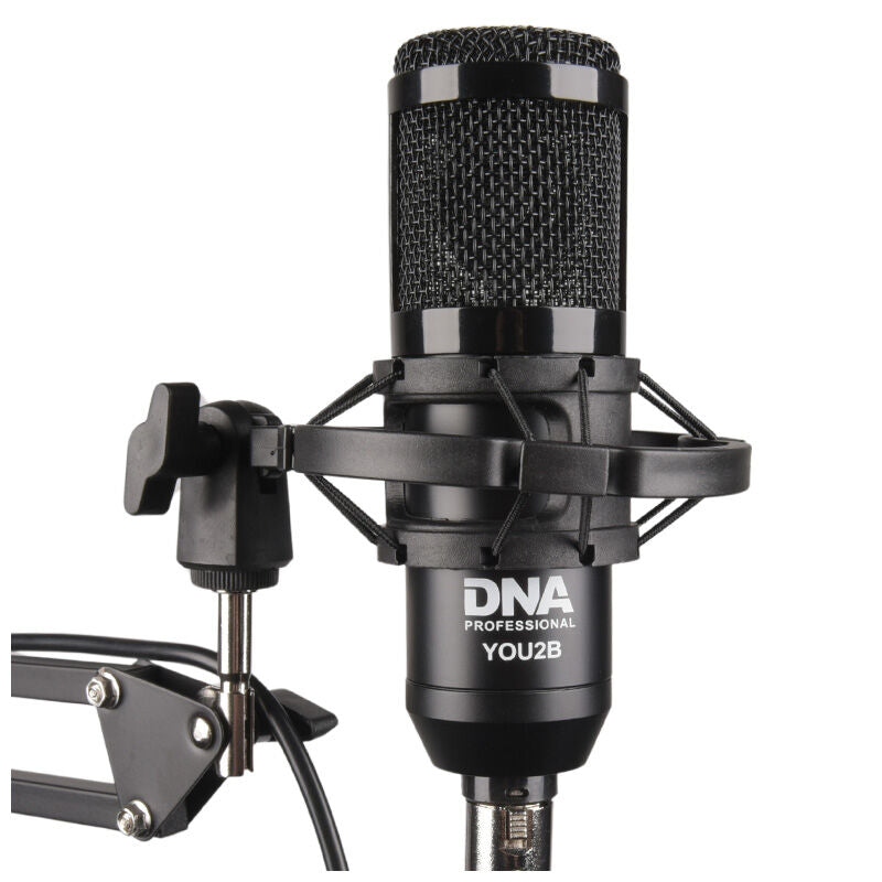 Set di microfoni per podcast e gaming