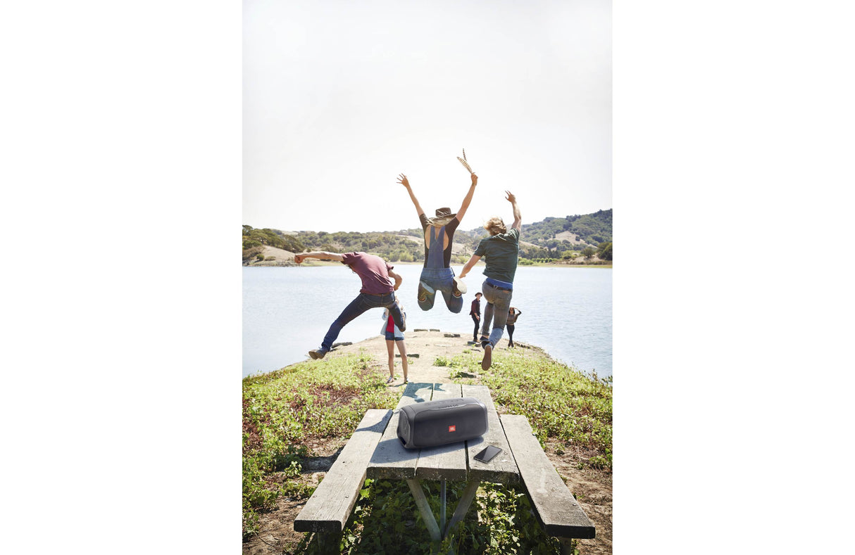 JBL BASS PRO GO Subwoofer All-in-One & Altoparlante Portatile