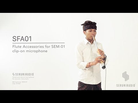 SFA01 Set accessori per flauto