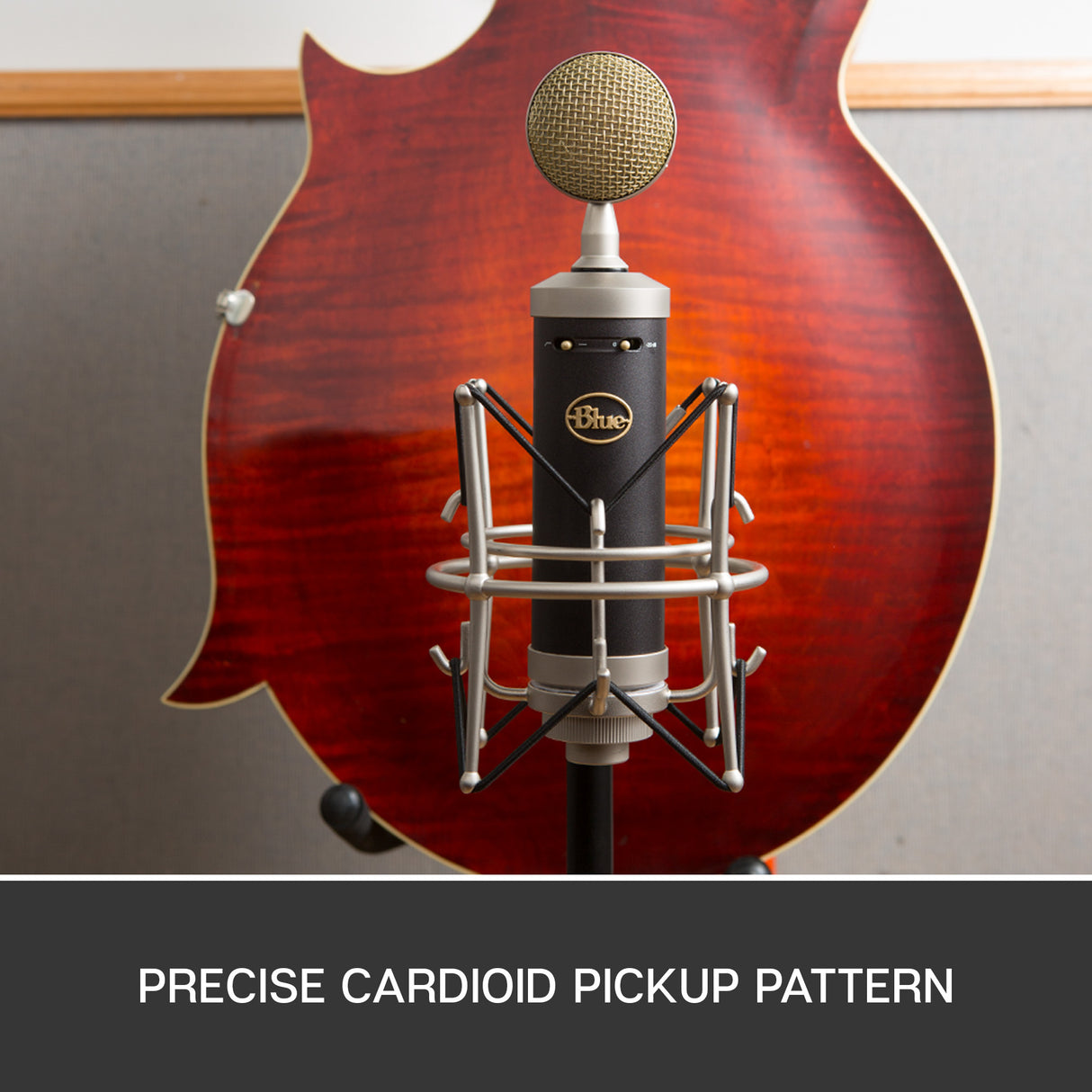 Blue Biberon SL Microfono a condensatore