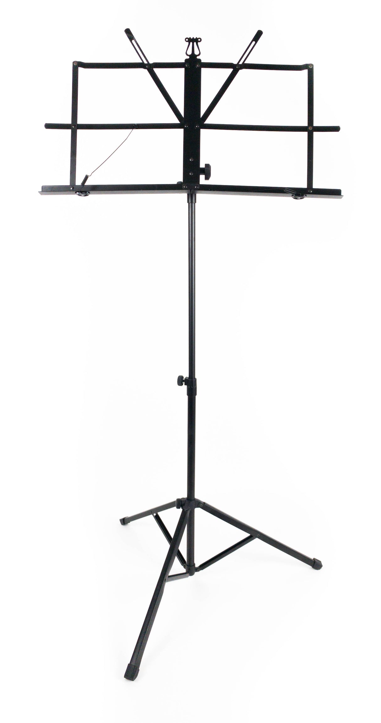 Ibiza Leggio (68-145cm)