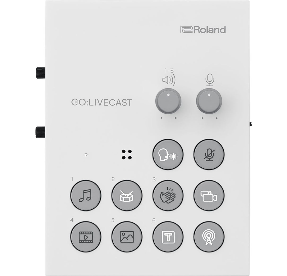 Roland GO:LIVECAST Schede Audio