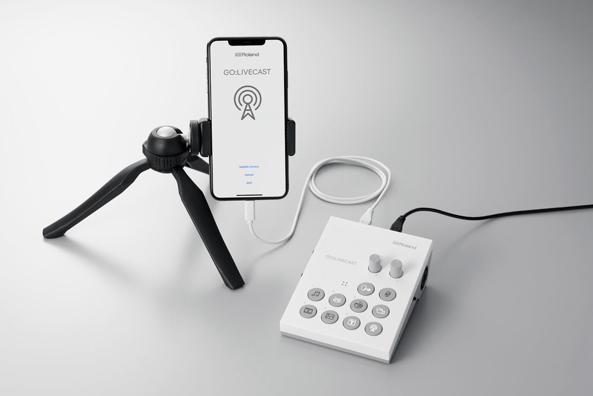 Roland GO:LIVECAST Schede Audio