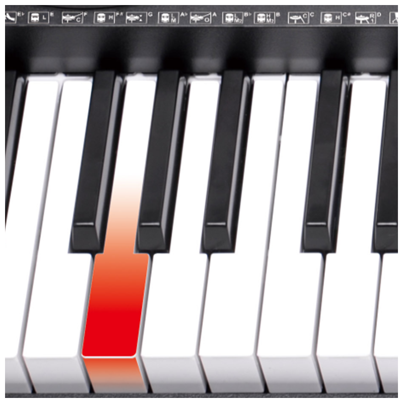 V-TONE VK-500 61L Tastiere – 61 tasti con funzione di apprendimento LED per bambini e principianti