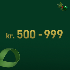 Idee regalo natalizie 500-999 kr.