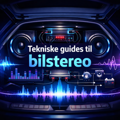 Guide tecniche