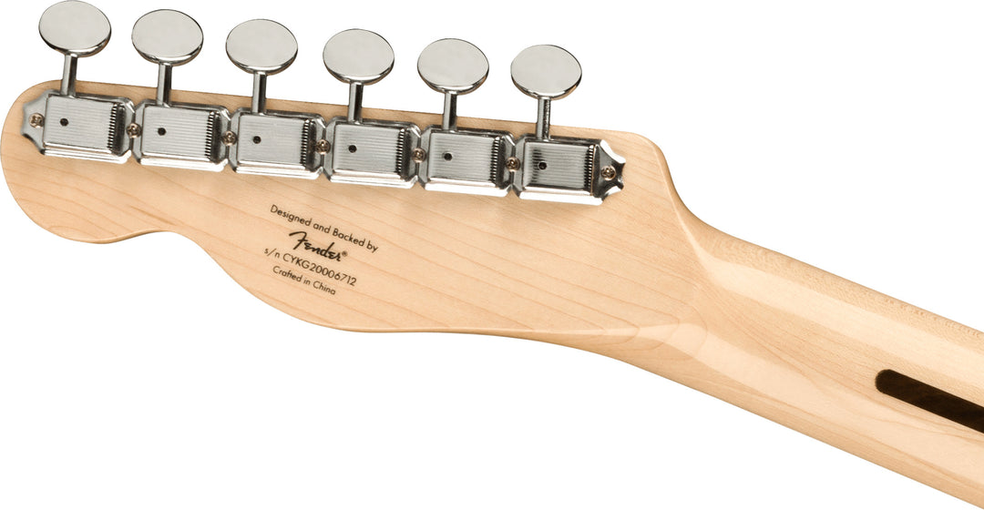Fender Squier Paranormal Carbronita Telecaster Thinline Chitarra elettrica (Sunburst)