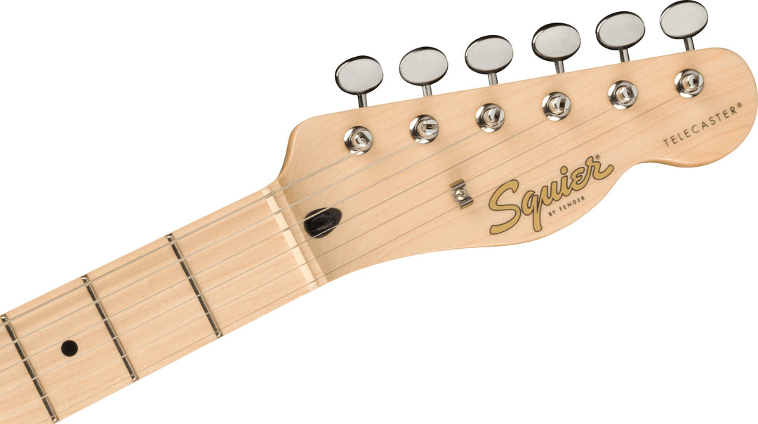 Fender Squier Paranormal Carbronita Telecaster Thinline Chitarra elettrica (Sunburst)