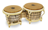 Latin Percezione Bongo Galaxy Giovanni - hardware dorato (LP793X)