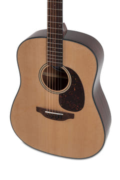 Applause Chitarre acustica Wood Classics AAD96-4 Natural Gloss - Natural Highgloss (AAD96-4)