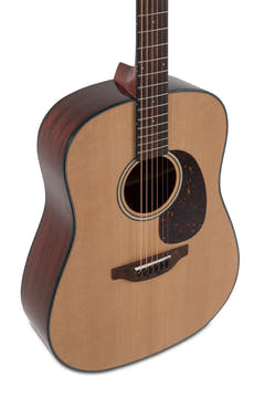 Applause Chitarre acustica Wood Classics AAD96-4 Natural Gloss - Natural Highgloss (AAD96-4)