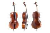 GEWA Allegro violoncello 4/4, regolato con custodia