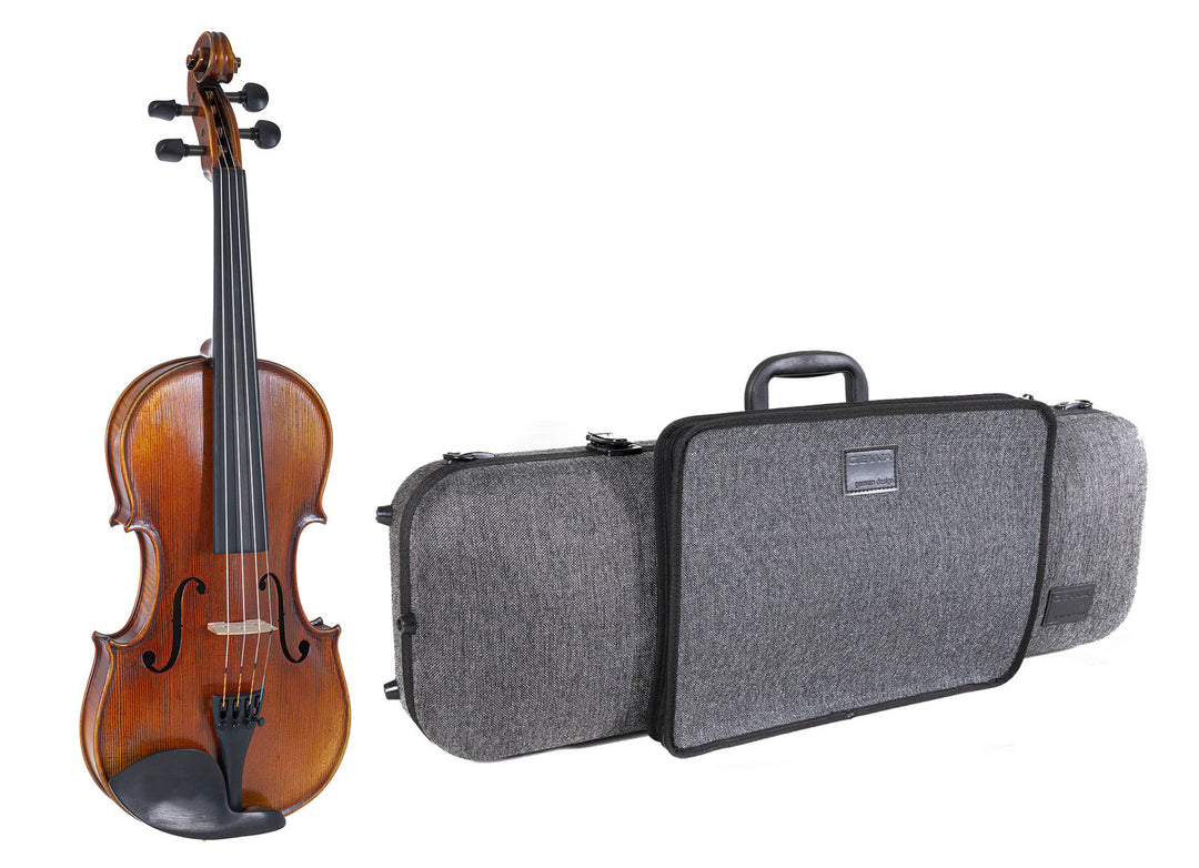 GEWA Violini Maestro 2 - 4/4 (Pronto per suonare incl. custodia per violino GEWA Bio, senza archetto, con corde Il Cannone)