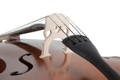 GEWA Contrabbasso Basic Line - versione laminata - 1/2 (Configurazione realizzata nel GEWA Master workshop)