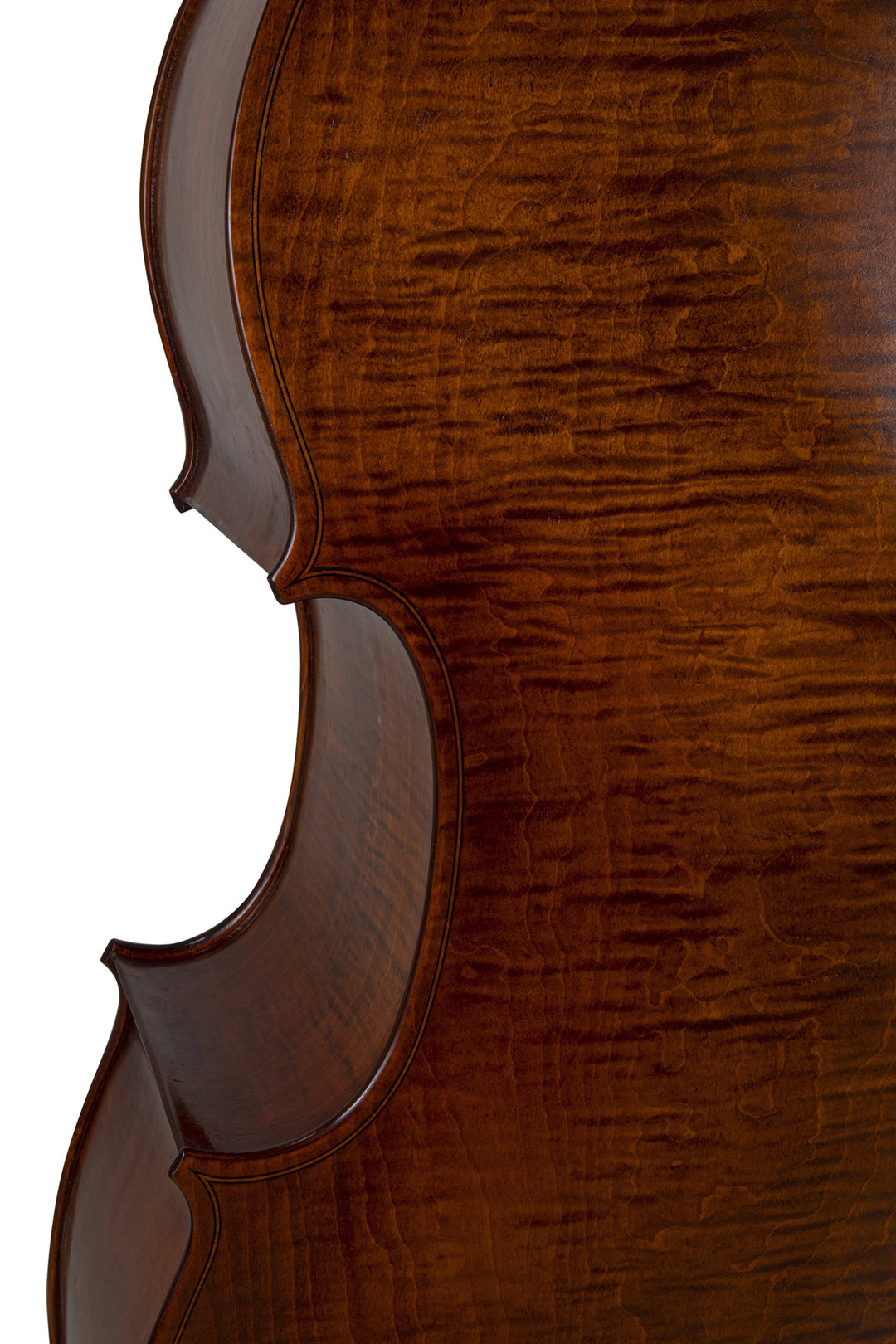 GEWA Double bass Premium Line Semi-solid Model - 3/4 (Configurato nelle officine principali GEWA)