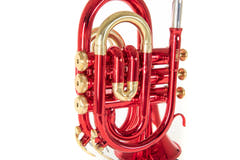 Roy Benson Tromba tascabile in Bb Roy Benson PT-101R - PT-101R