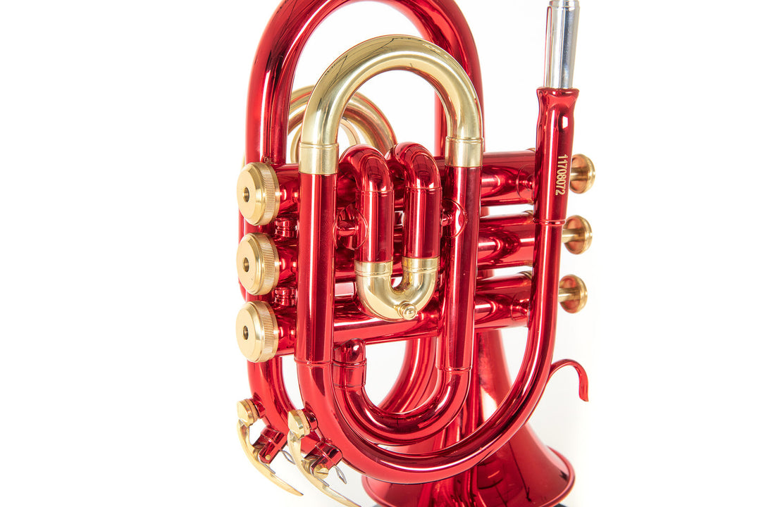 Roy Benson Tromba tascabile in Bb Roy Benson PT-101R - PT-101R