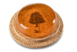 Melos Premium light colofonia per violini, chiara