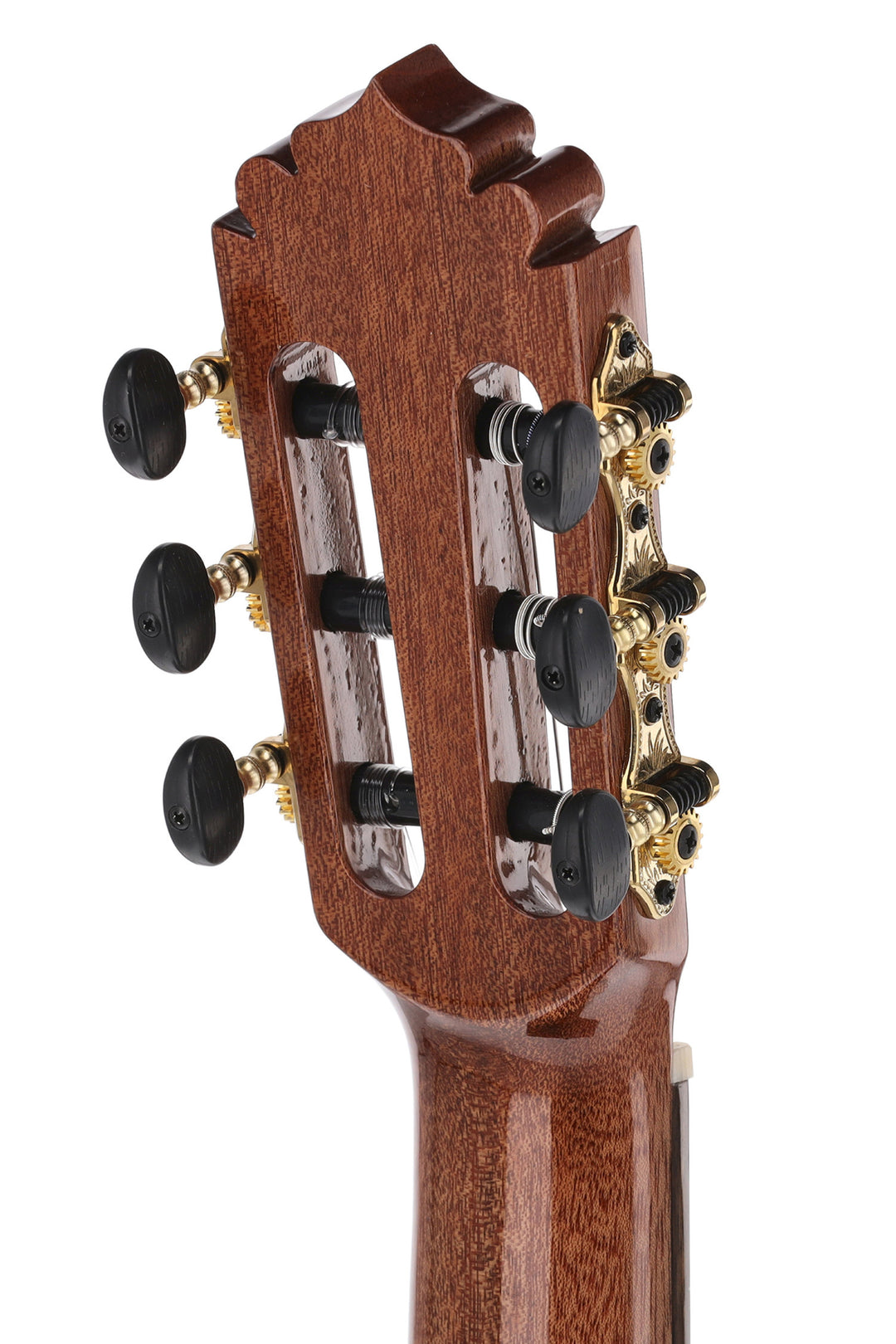 Manuel Rodriguez ACADEMIA Series Santos Pavo Real - E-Acoustic abete/Santos (EX-SS-EA gloss)