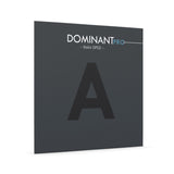 Corde per Violini Thomastik-Infeld Dominant Pro - A2 Nylon/Alu (DP02)