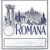 Romana corda D per violini, avvolta in alluminio
