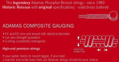 Corde per chitarra Adamas Round Core 1717RC, anche per persone allergiche