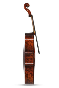 Violoncello da concerto GEWA Georg Walther 4/4, pioppo, non montato