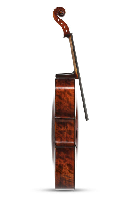 Violoncello da concerto GEWA Georg Walther 4/4, pioppo, non montato
