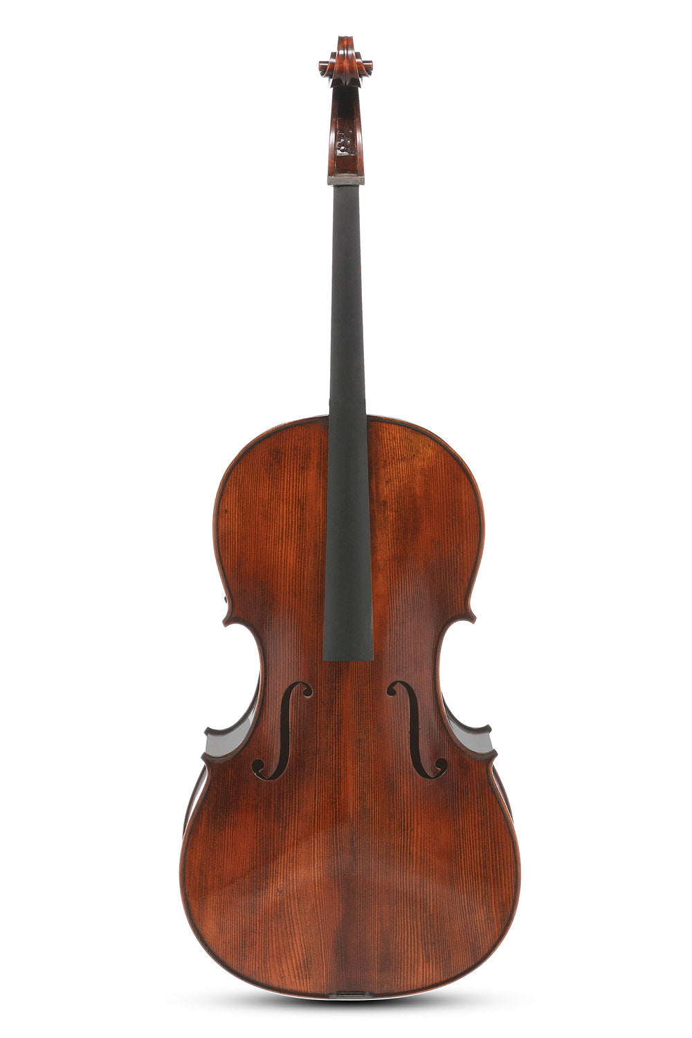 Violoncello da concerto GEWA Georg Walther 4/4, pioppo, non montato