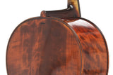 Violoncello da concerto GEWA Georg Walther 4/4, pioppo, non montato