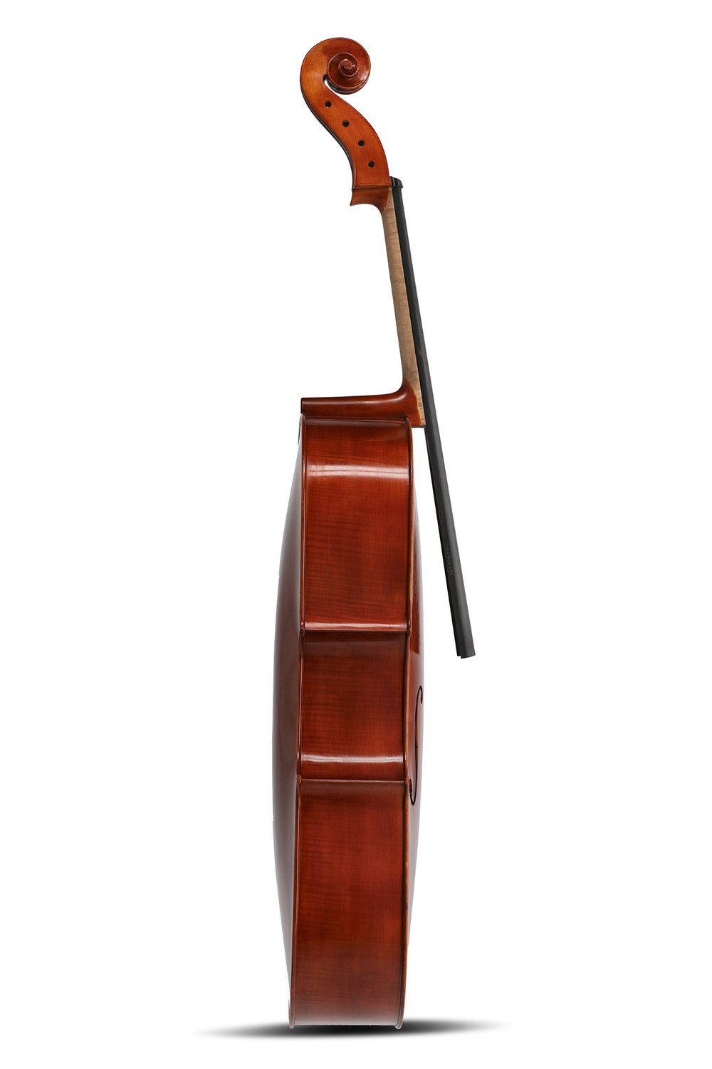 Violoncello GEWA Europa Maestro 4/4, vernice ad alcool marrone castagna