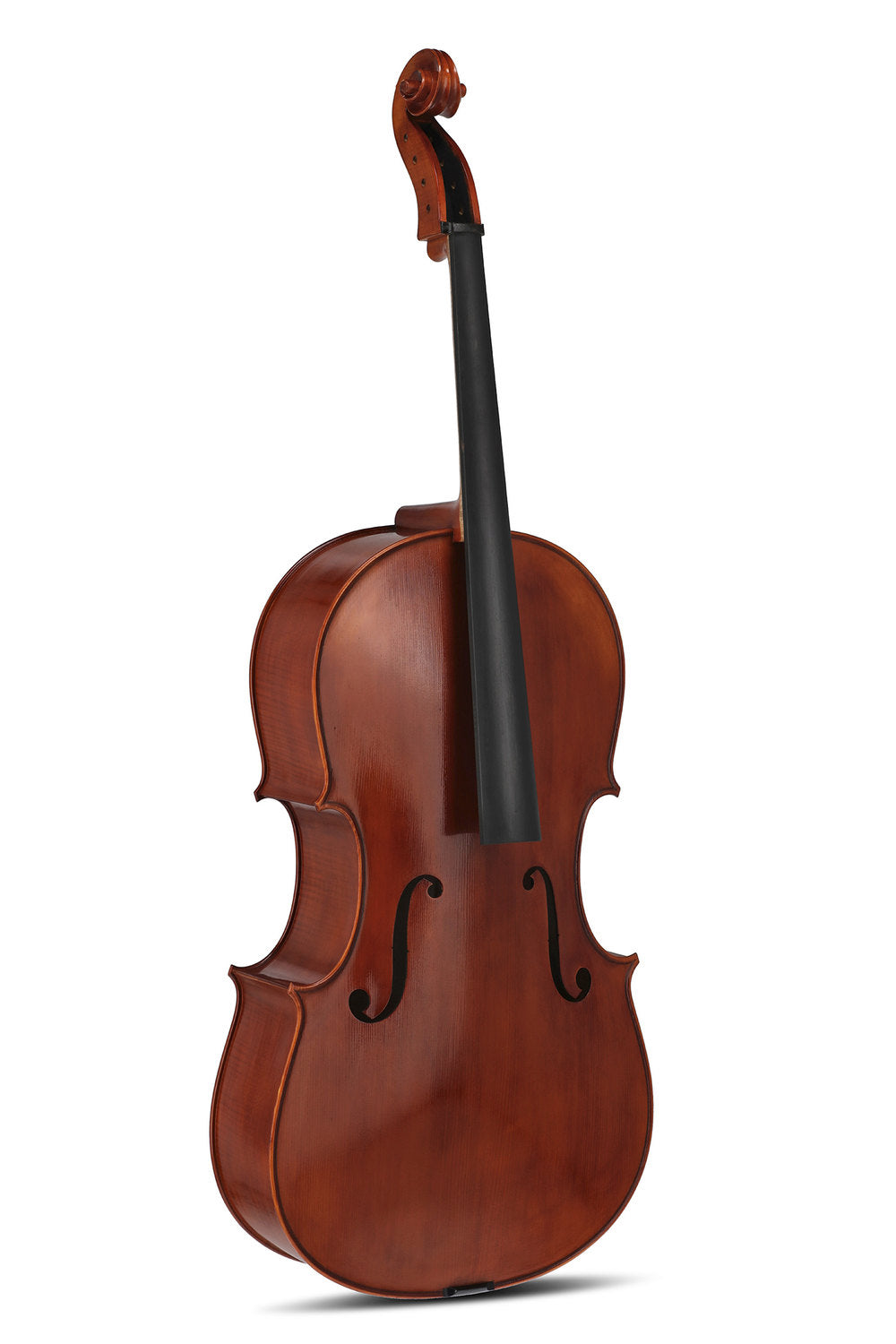 Violoncello GEWA Europa Maestro 4/4, vernice ad alcool marrone castagna