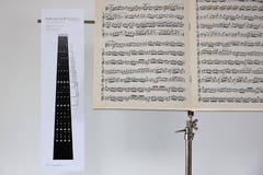 Savigny diagrammi delle diteggiature Violini