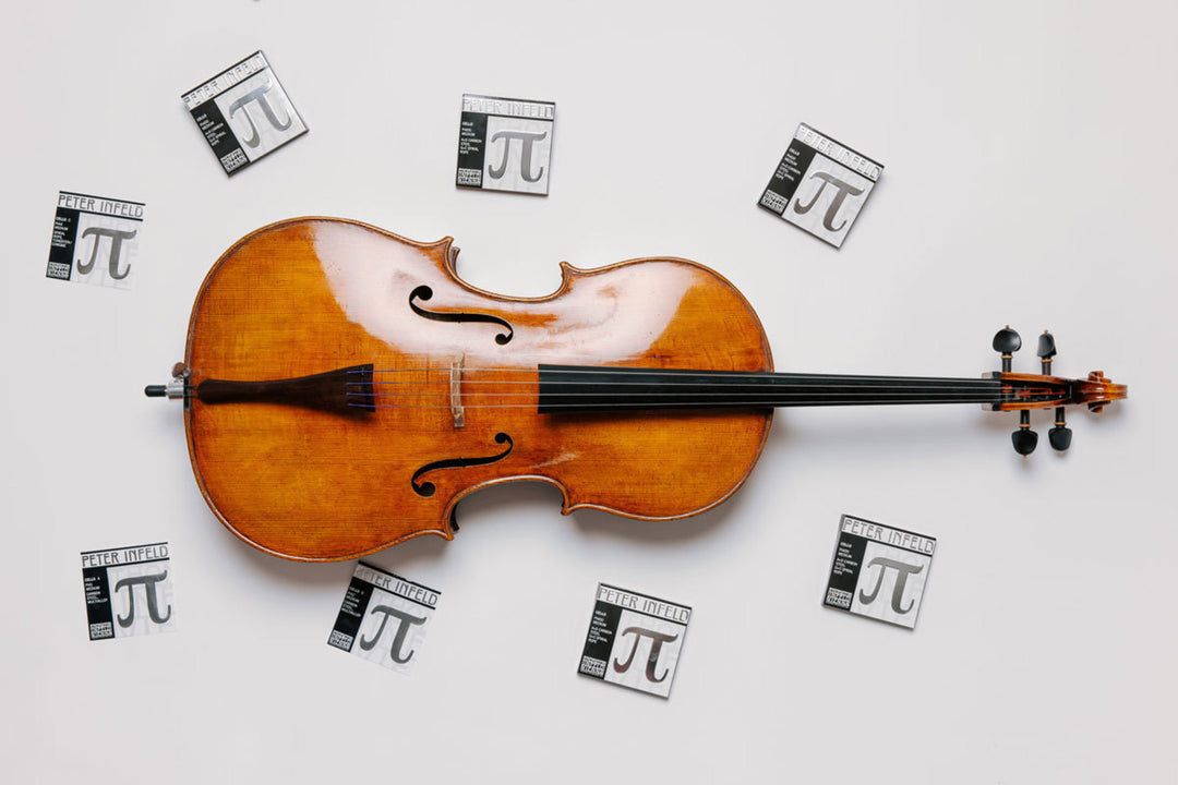 Corde per Violoncello Thomastik-Infeld Peter Infeld - set medium 4/4 (PI400)